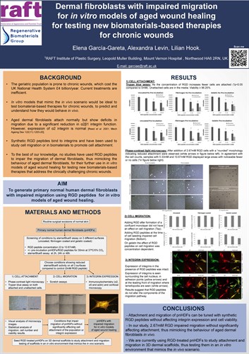 dermal-fibroblasts