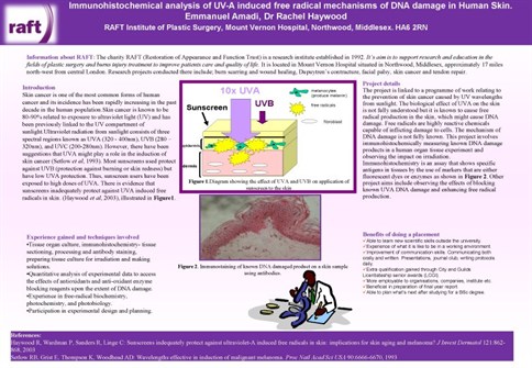 immunohistochemical-analysis