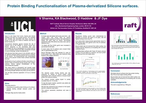 protein-binding-functionalisation