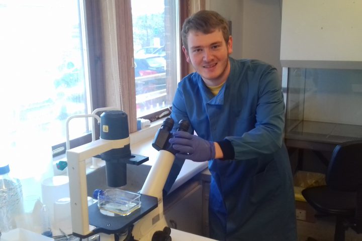 New RAFT intern begins work on inflammatory response model