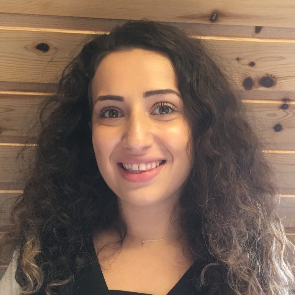 Taleen Shakouri , BSc
