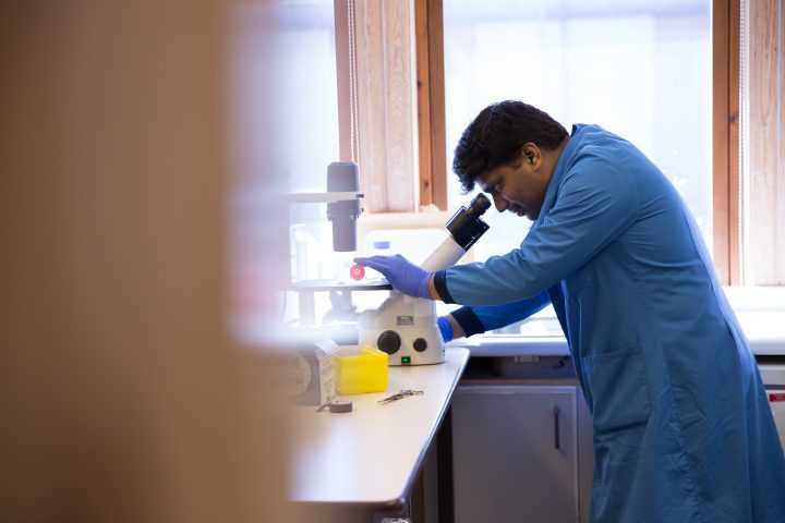 RAFT recognised as 'Most Dedicated Medical Research Company' in M&A Global Awards 2019